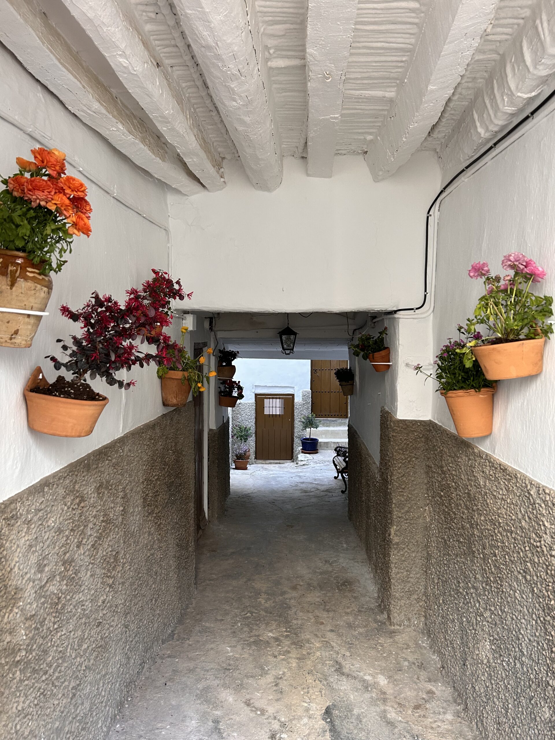 calle-jose-antonio-entrada calle-jose-antonio-entrada